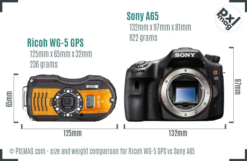 Ricoh WG-5 GPS vs Sony A65 size comparison