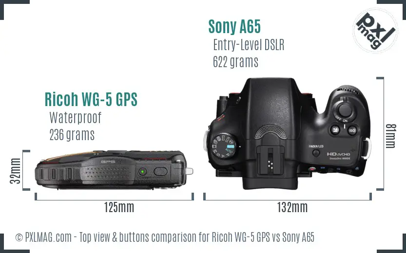 Ricoh WG-5 GPS vs Sony A65 top view buttons comparison