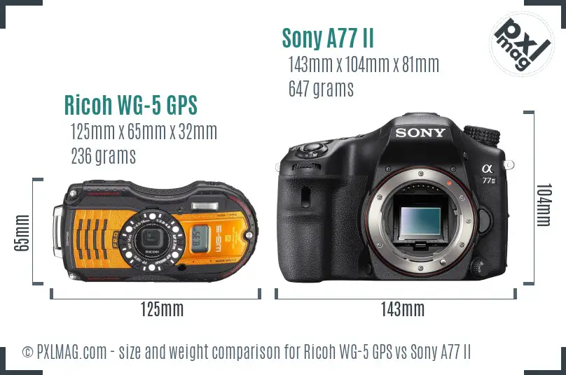 Ricoh WG-5 GPS vs Sony A77 II size comparison