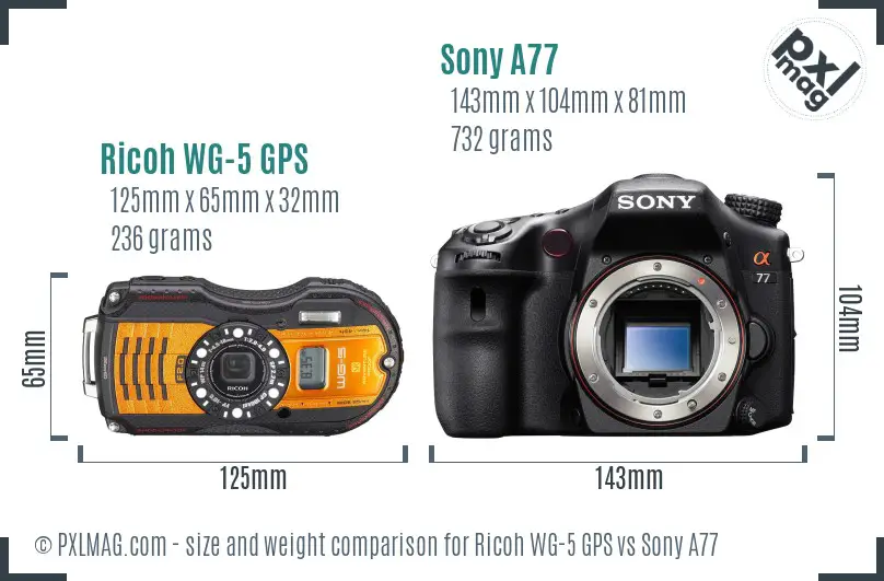 Ricoh WG-5 GPS vs Sony A77 size comparison