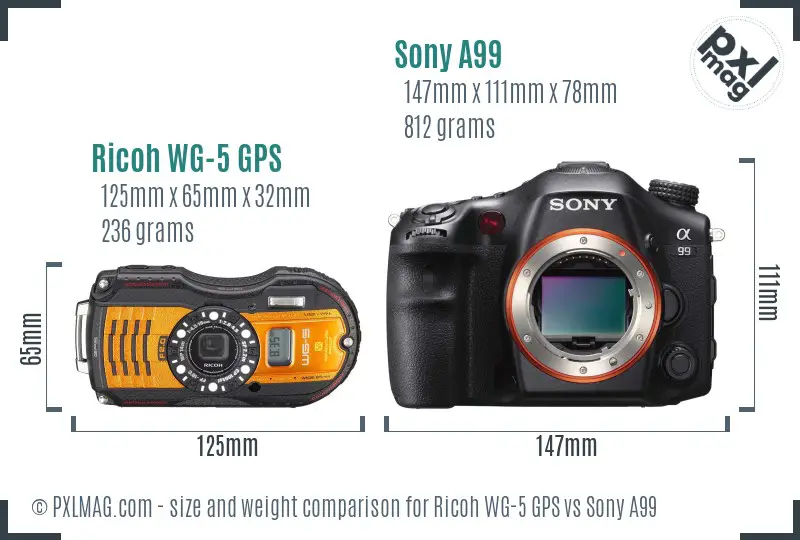 Ricoh WG-5 GPS vs Sony A99 size comparison