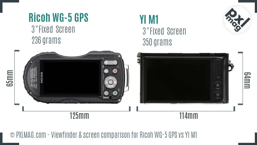 Ricoh WG-5 GPS vs YI M1 Screen and Viewfinder comparison