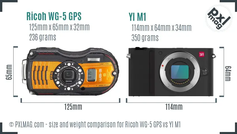 Ricoh WG-5 GPS vs YI M1 size comparison