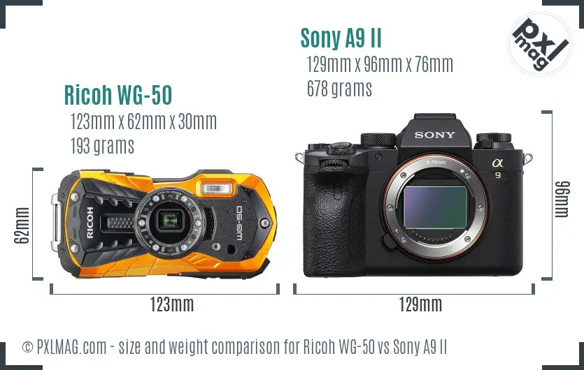 Ricoh WG-50 vs Sony A9 II size comparison