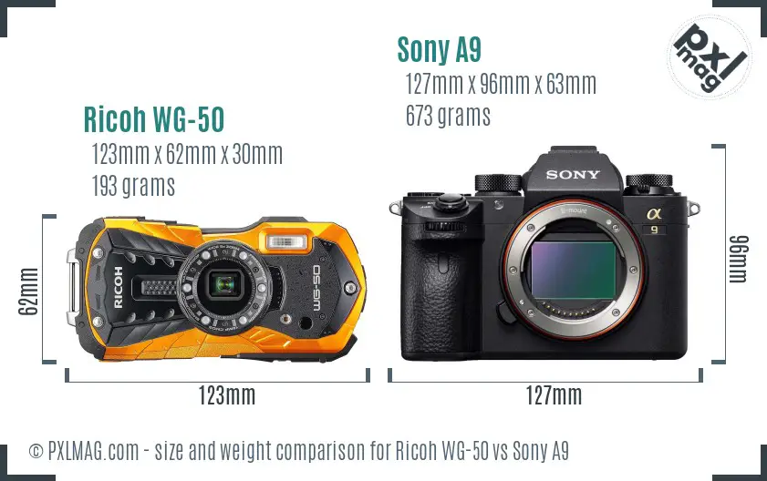 Ricoh WG-50 vs Sony A9 size comparison