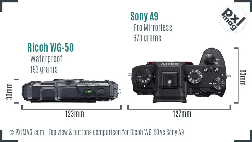 Ricoh WG-50 vs Sony A9 top view buttons comparison