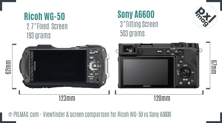Ricoh WG-50 vs Sony A6600 Screen and Viewfinder comparison