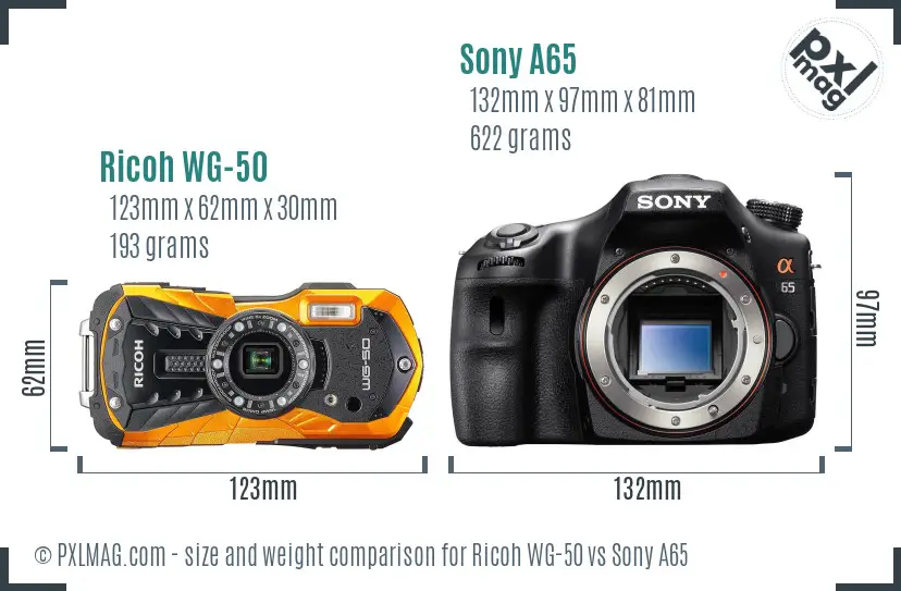 Ricoh WG-50 vs Sony A65 size comparison