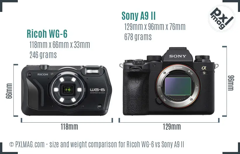 Ricoh WG-6 vs Sony A9 II size comparison