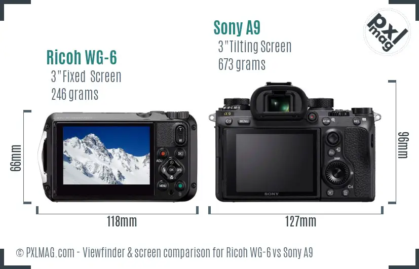 Ricoh WG-6 vs Sony A9 Screen and Viewfinder comparison Ricoh WG-6 vs Sony A9 Screen and Viewfinder comparison