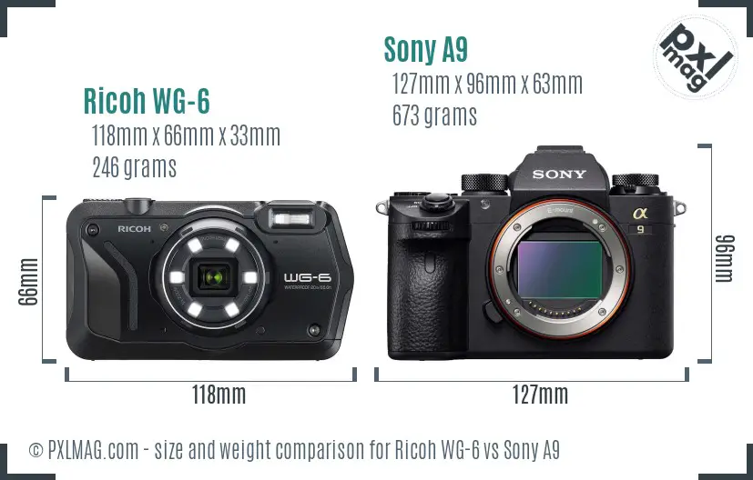 Ricoh WG-6 vs Sony A9 size comparison Ricoh WG-6 vs Sony A9 size comparison