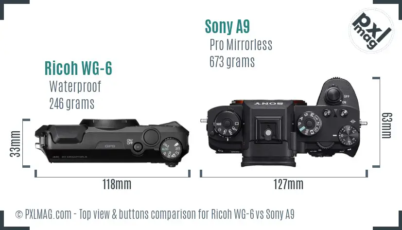 Ricoh WG-6 vs Sony A9 top view buttons comparison Ricoh WG-6 vs Sony A9 top view buttons comparison