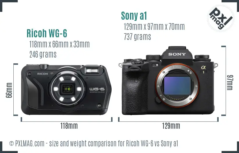 Ricoh WG-6 vs Sony a1 size comparison
