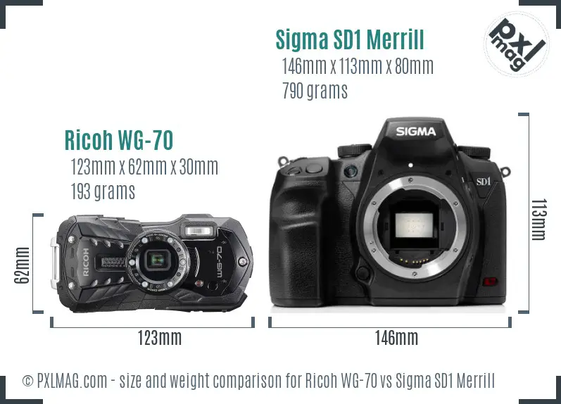 Ricoh WG-70 vs Sigma SD1 Merrill size comparison