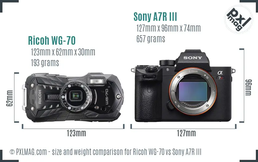 Ricoh WG-70 vs Sony A7R III size comparison