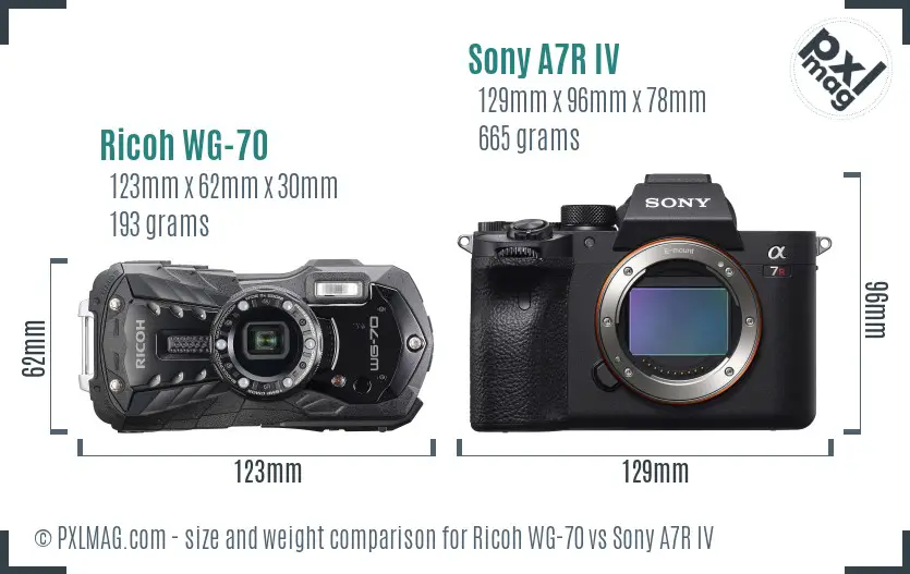 Ricoh WG-70 vs Sony A7R IV size comparison