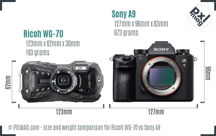 Ricoh WG-70 vs Sony A9 size comparison