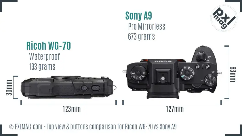Ricoh WG-70 vs Sony A9 top view buttons comparison