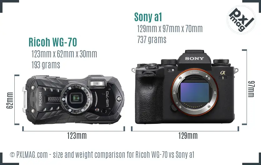 Ricoh WG-70 vs Sony a1 size comparison