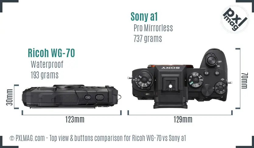 Ricoh WG-70 vs Sony a1 top view buttons comparison