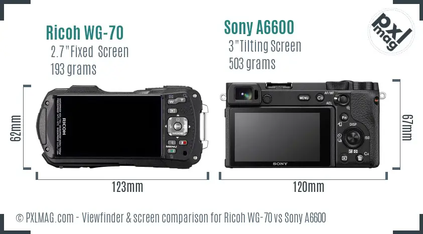 Ricoh WG-70 vs Sony A6600 Screen and Viewfinder comparison