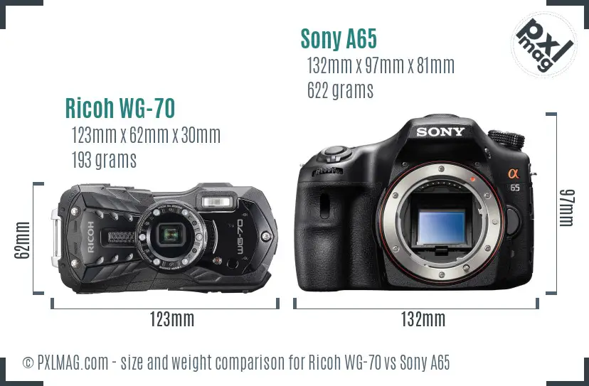 Ricoh WG-70 vs Sony A65 size comparison