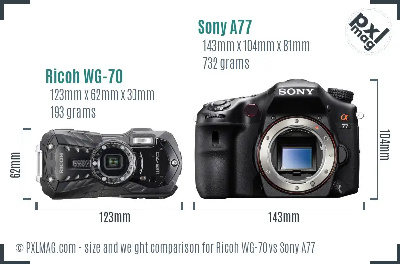 Ricoh WG-70 vs Sony A77 size comparison