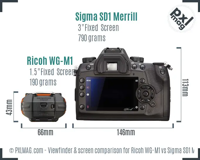 Ricoh WG-M1 vs Sigma SD1 Merrill Screen and Viewfinder comparison
