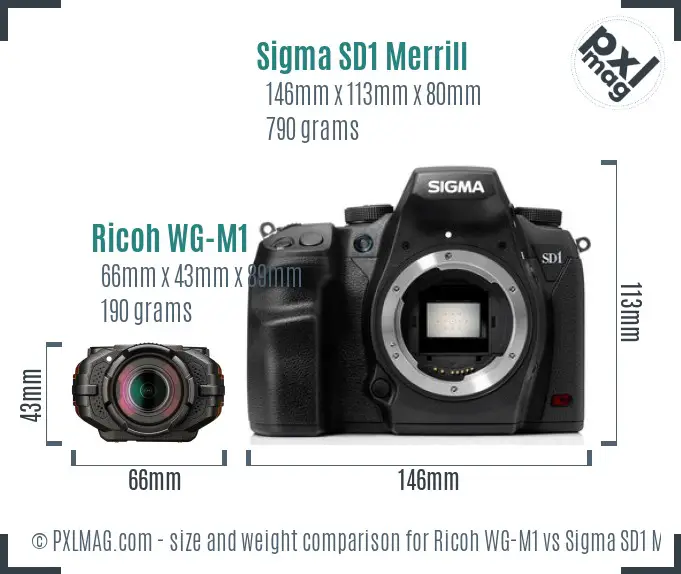 Ricoh WG-M1 vs Sigma SD1 Merrill size comparison