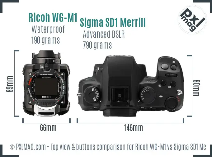 Ricoh WG-M1 vs Sigma SD1 Merrill top view buttons comparison