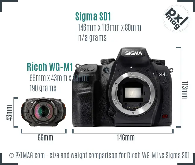 Ricoh WG-M1 vs Sigma SD1 size comparison