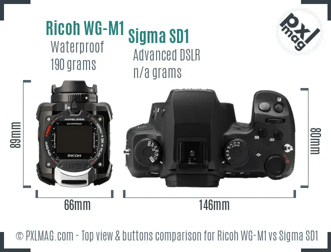 Ricoh WG-M1 vs Sigma SD1 top view buttons comparison