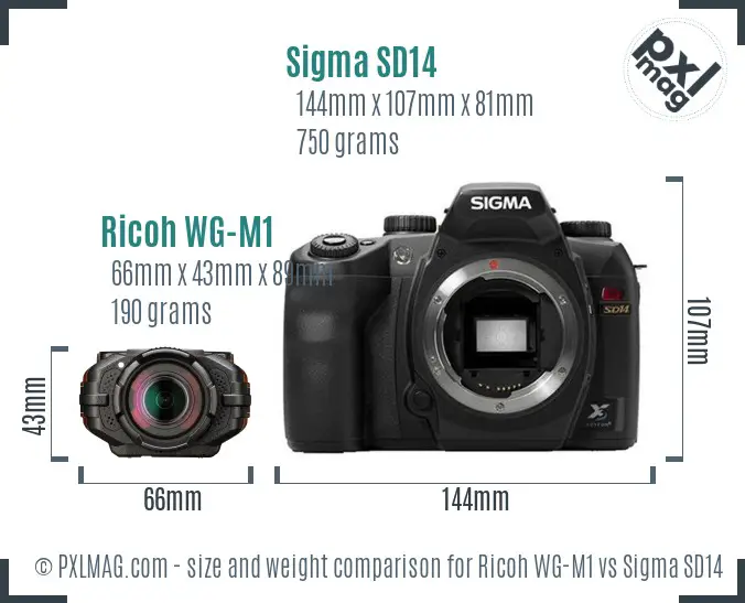 Ricoh WG-M1 vs Sigma SD14 size comparison