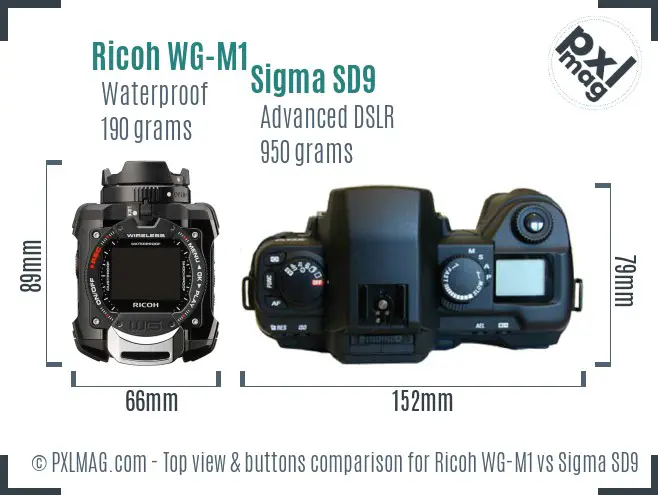 Ricoh WG-M1 vs Sigma SD9 top view buttons comparison