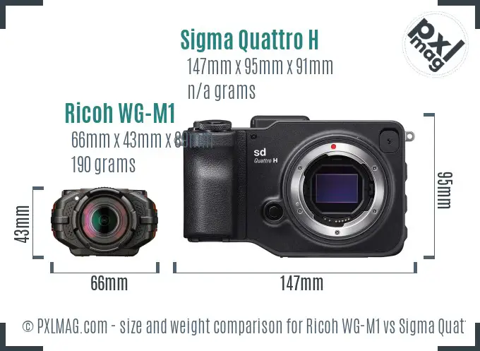 Ricoh WG-M1 vs Sigma Quattro H size comparison
