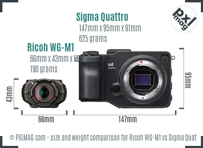 Ricoh WG-M1 vs Sigma Quattro size comparison