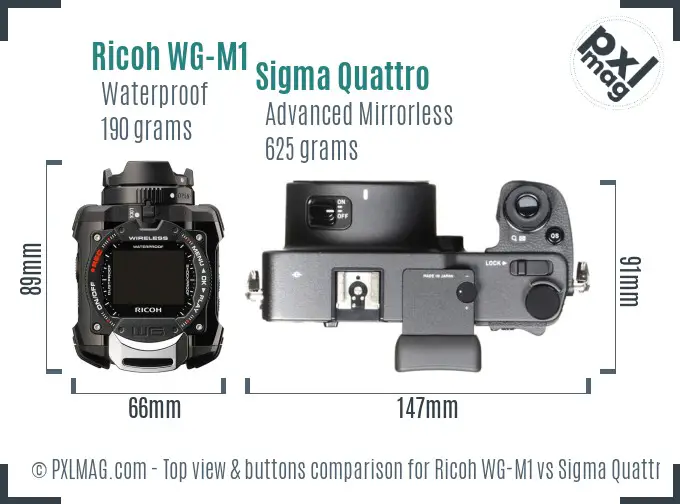 Ricoh WG-M1 vs Sigma Quattro top view buttons comparison
