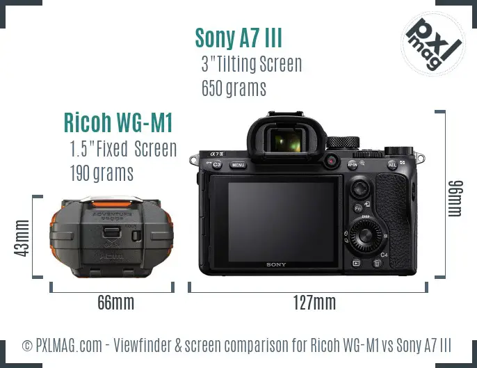 Ricoh WG-M1 vs Sony A7 III Screen and Viewfinder comparison