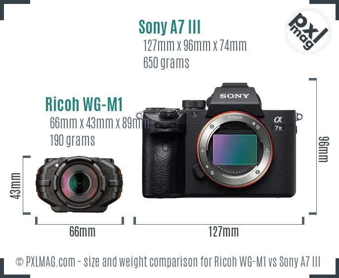 Ricoh WG-M1 vs Sony A7 III size comparison