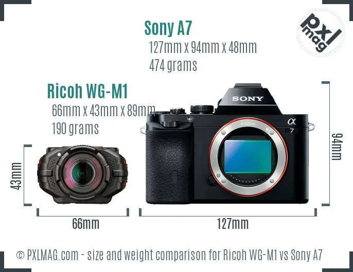 Ricoh WG-M1 vs Sony A7 size comparison