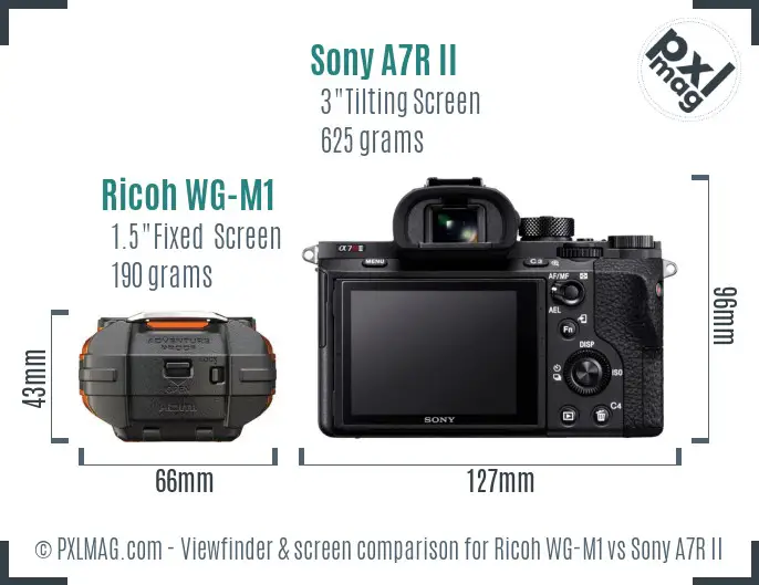 Ricoh WG-M1 vs Sony A7R II Screen and Viewfinder comparison