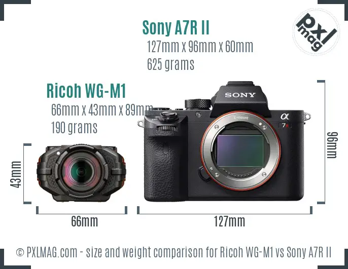 Ricoh WG-M1 vs Sony A7R II size comparison