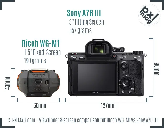 Ricoh WG-M1 vs Sony A7R III Screen and Viewfinder comparison