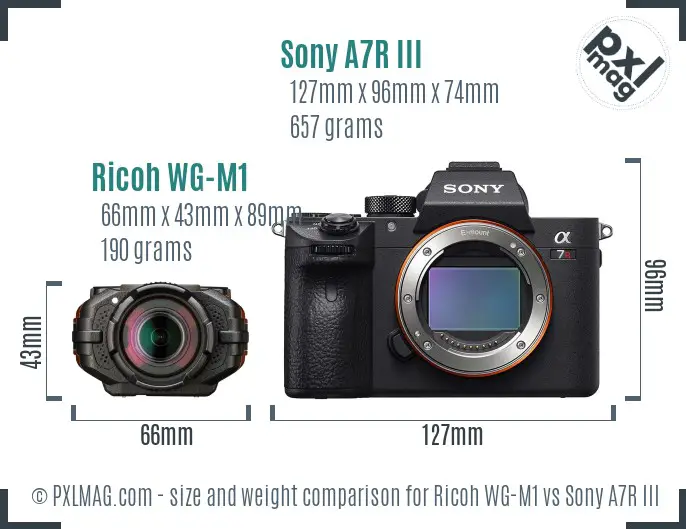 Ricoh WG-M1 vs Sony A7R III size comparison