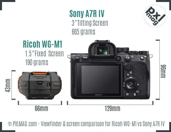 Ricoh WG-M1 vs Sony A7R IV Screen and Viewfinder comparison