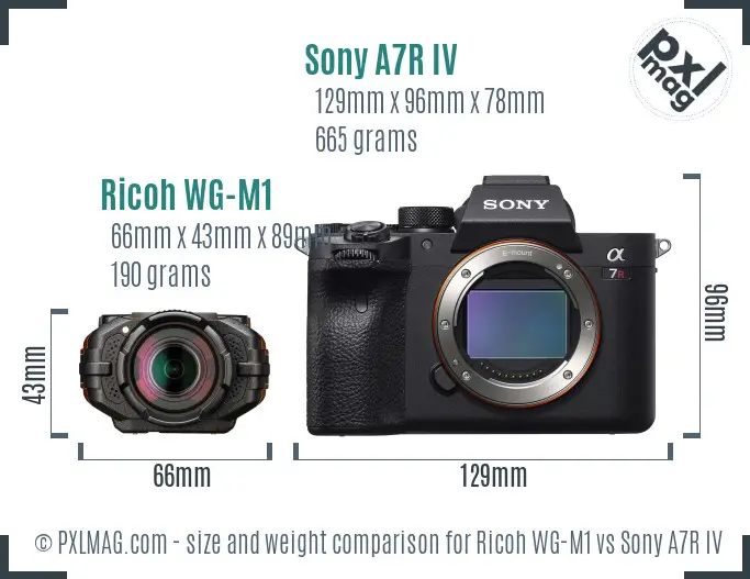 Ricoh WG-M1 vs Sony A7R IV size comparison