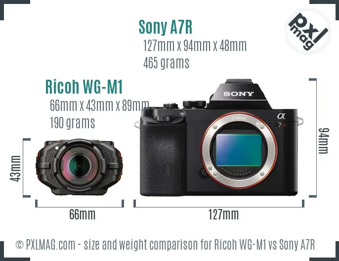 Ricoh WG-M1 vs Sony A7R size comparison