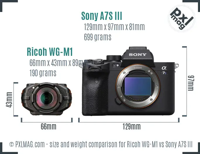 Ricoh WG-M1 vs Sony A7S III size comparison