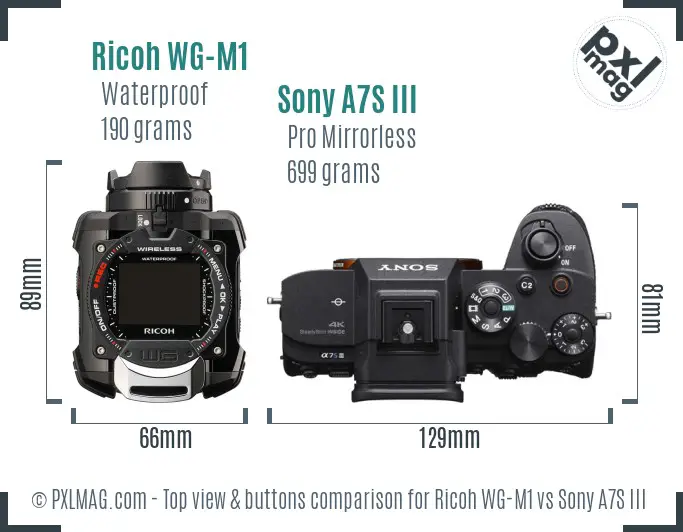 Ricoh WG-M1 vs Sony A7S III top view buttons comparison