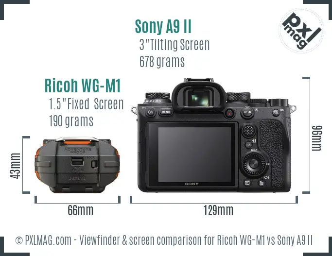 Ricoh WG-M1 vs Sony A9 II Screen and Viewfinder comparison